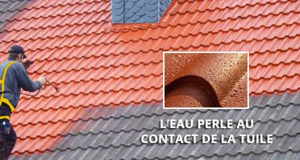 Artisan couvreur, zingueur et peintre MS TOITURE 31: : travaux de Couverture, zinguerie, traitement charpente, démoussage et peinture hydrofuge toit, ravalement façade